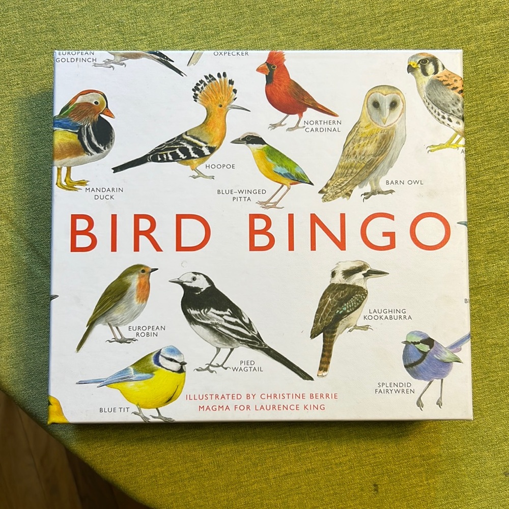 Bird Bingo Game